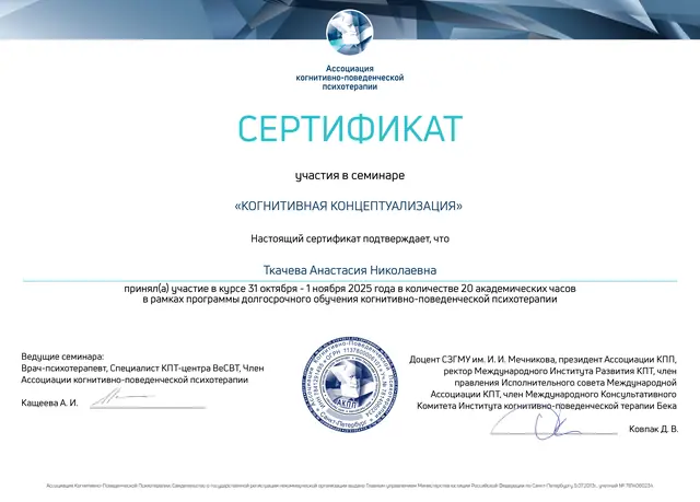 Когнитивная концептуализация